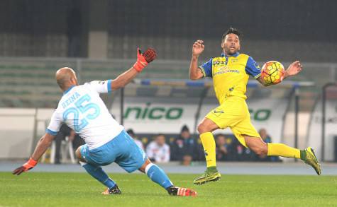 VERONA, ITALY - OCTOBER 25:  Jose Manuel Reina (L) goalkeeper of SSC Napoli saves a shot from Lucas Nahuel Castro of Chievo Verona  during the Serie A match between AC Chievo Verona and SSC Napoli at Stadio Marc'Antonio Bentegodi on October 25, 2015 in Verona, Italy.  (Photo by Dino Panato/Getty Images)