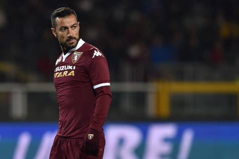 TURIN, ITALY - NOVEMBER 28: Fabio Quagliarella of Torino FC looks on during the Serie A match between Torino FC and Bologna FC at Stadio Olimpico di Torino on November 28, 2015 in Turin, Italy. (Photo by Valerio Pennicino/Getty Images)