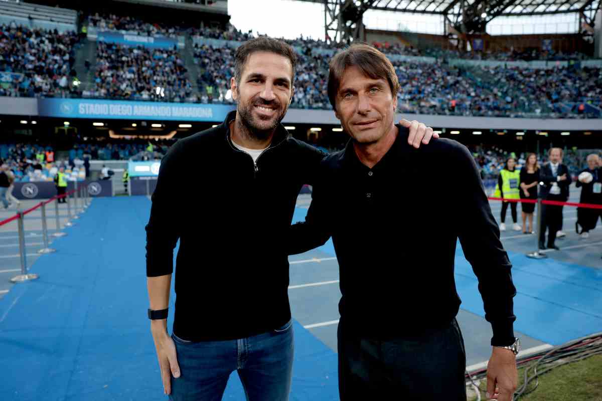 Fabregas Conte